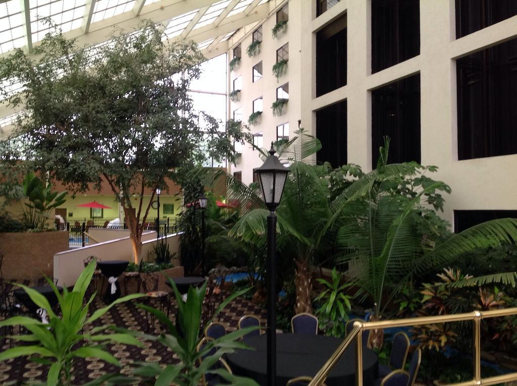 Hotel Wyndham Garden Amarillo Esterno foto